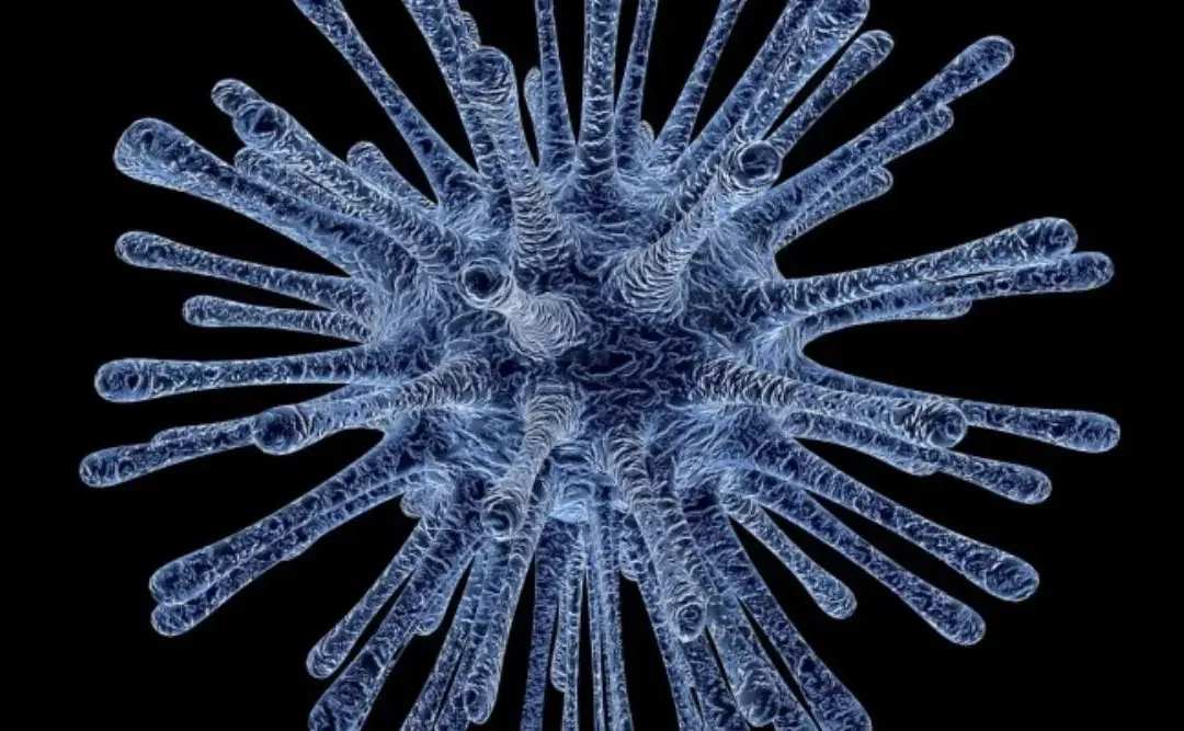 Què és un virus, i en particular el Coronavirus?